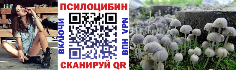 цены   блэк спрут ONION  Галлюциногенные грибы мицелий  Новосибирск 